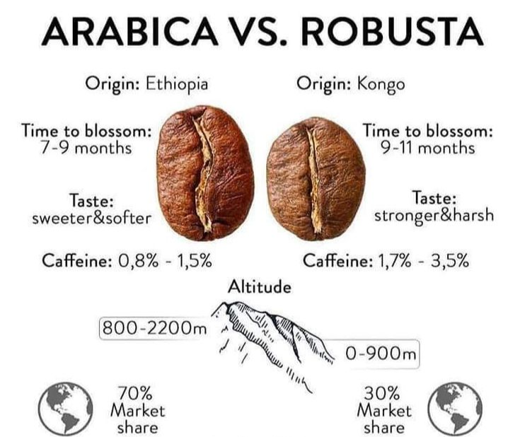 Arabica và Robusta