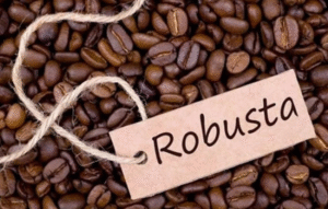 cà phê rang mộc robusta