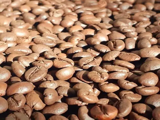 Cà phê rang mộc robusta