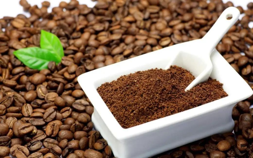 Cà phê robusta nơi đậm chất việt