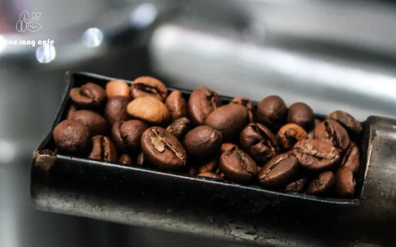 Nâu Rang Cafe – Nơi cung cấp cà phê rang mộc uy tín tại TP.HCM!