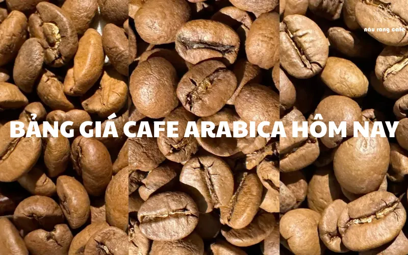 Giá cafe Arabica hôm nay: Cập nhật mới nhất thị trường ngày 19/06/2025