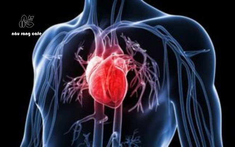 Lợi ích của việc uống cà phê tốt cho tim mạch nếu uống điều độ