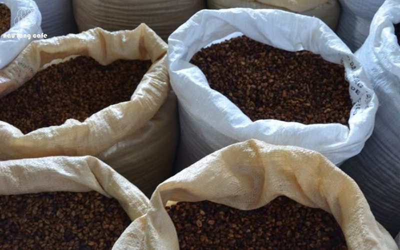 Quy trình cung cấp cà phê rang mộc của Nâu Rang Cafe
