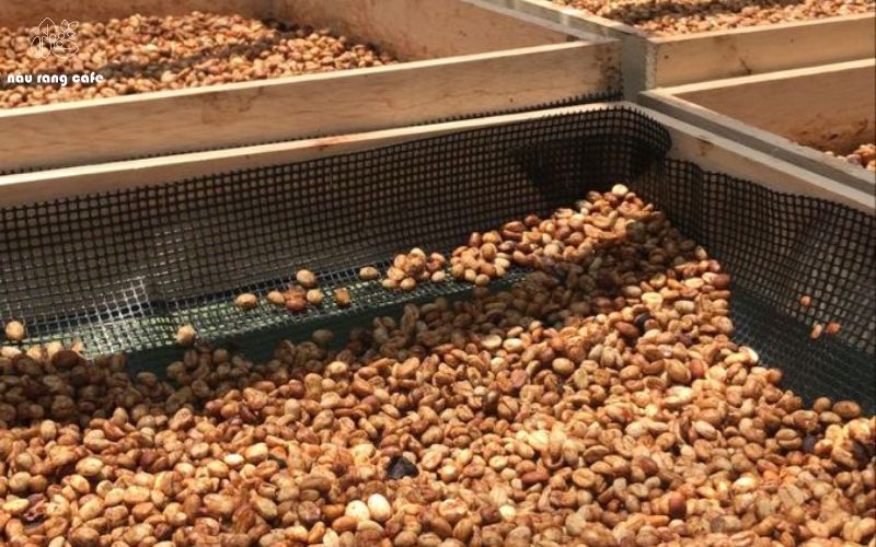 Rượu tẩm cà phê giá bao nhiêu