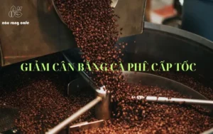 Giảm cân bằng cà phê ủ lạnh cấp tốc trong 7 ngày