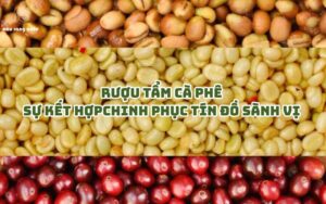 Rượu tẩm cà phê – sự kết hợp chinh phục tín đồ sành vị