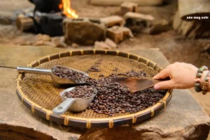 Từ Nông Trại Đến Thương Hiệu – Hành Trình Đặc Sắc
