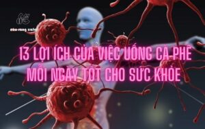 13 Lợi ích của việc uống cà phê mỗi ngày tốt cho sức khỏe