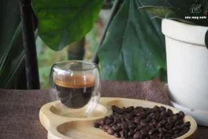 Hương Vị Cà Phê Catimor Có Gì Đặc Trưng?