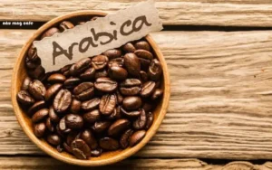 Hạt cà phê rang xay Arabica