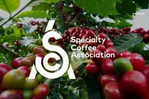 cà phê specialty là gì