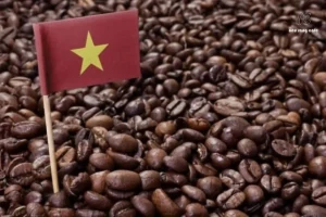 văn hóa cà phê việt nam