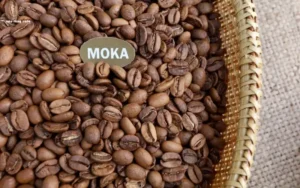 cà phê moka có vị gì