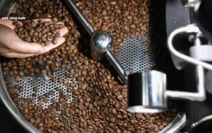 khái niệm hạt cà phê rang xay