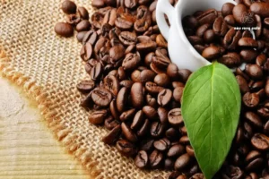 Uống cà phê buổi sáng có tốt không