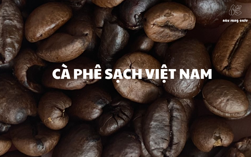 SHOP BÁN CÀ PHÊ SẠCH NGUYÊN CHẤT - RANG MỘC TẠI TP.HCM