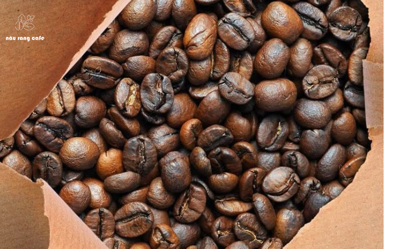 CÀ PHÊ HẠT ARABICA ĐƯỢC TRỒNG VÀ CANH TÁC VÙNG NÀO VIỆT NAM