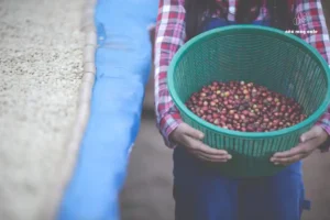 cà phê truyền thống